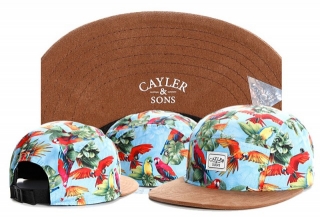 Wholesale Cayler & Sons Snapbacks Hats - TY (62)