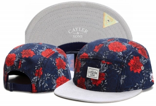 Wholesale Cayler & Sons Snapbacks Hats - TY (124)