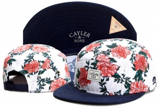 Wholesale Cayler & Sons Snapbacks Hats - TY (125)