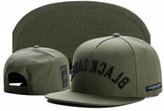 Wholesale Cayler & Sons Snapbacks Hats - TY (234)