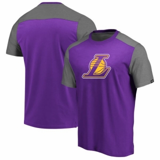 Men's NBA Los Angeles Lakers Fanatics Branded Big & Tall Iconic T-Shirt – PurpleHeathered Gray