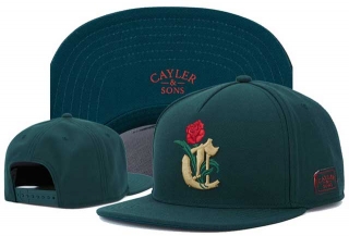 Wholesale Cayler And Sons Snapbacks Hats 80197