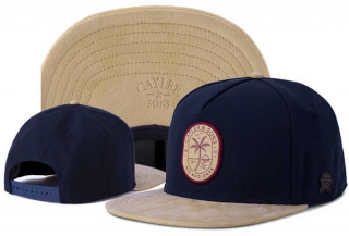 Wholesale Cayler And Sons Snapbacks Hats 80302