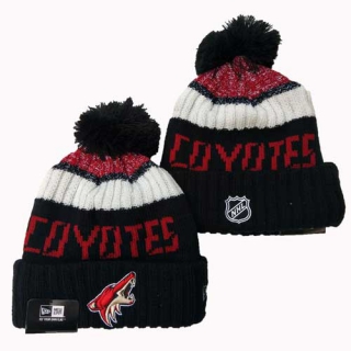 Wholesale NHL Arizona Coyotes Knit Beanie Hat 3001