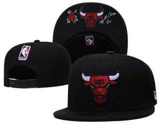 Wholesale NBA Chicago Bulls Snapback Hats 6023