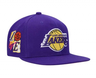 NBA Los Angeles Lakers Mitchell & Ness Purple All Love Snapback Hat 2116