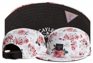 Wholesale Cayler & Sons Snapbacks Hats - TY (46)