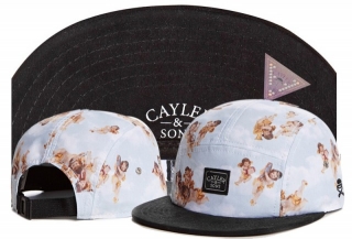 Wholesale Cayler & Sons Snapbacks Hats - TY (48)