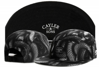 Wholesale Cayler & Sons Snapbacks Hats - TY (78)