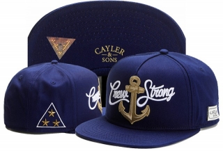 Wholesale Cayler & Sons Snapbacks Hats - TY (140)