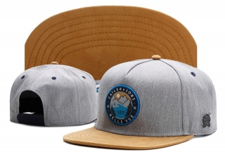 Wholesale Cayler & Sons Snapbacks Hats - TY (206)