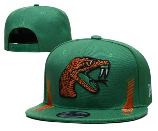 NCAA College Florida A&M Rattlers Snapback Hat 3001