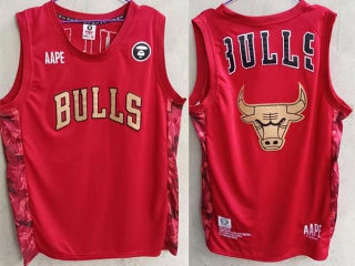 Men's NBA Chicago Bulls X AAPE Edition Jersey