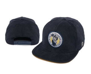 Wholesale Cayler & Sons Snapbacks Hats 8094