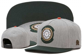Wholesale Cayler & Sons Snapbacks Hats 8104